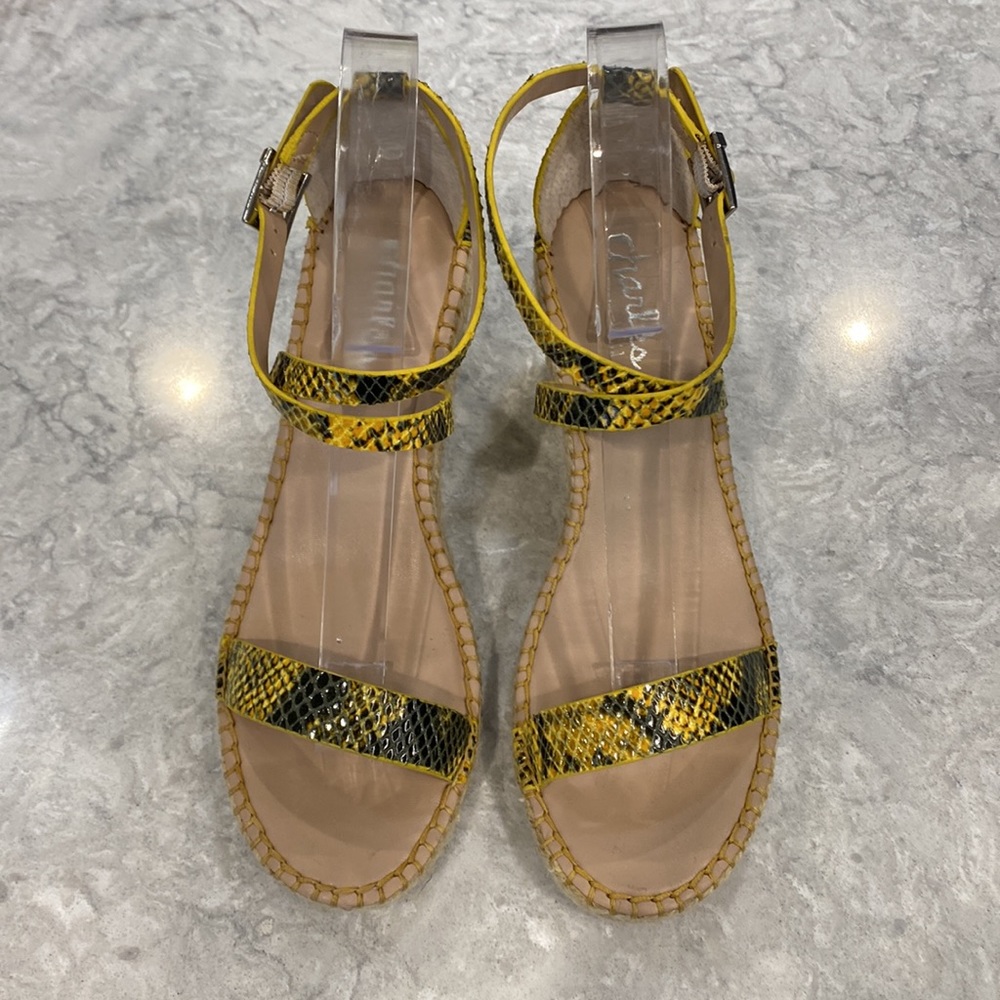 Euc Charles David Sandals